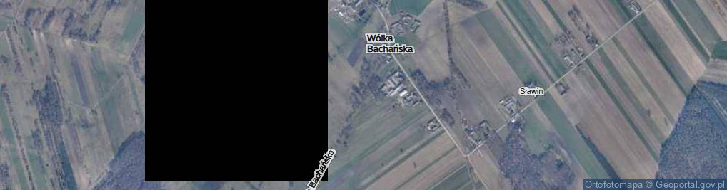 Zdjęcie satelitarne Wólka Bachańska ul.
